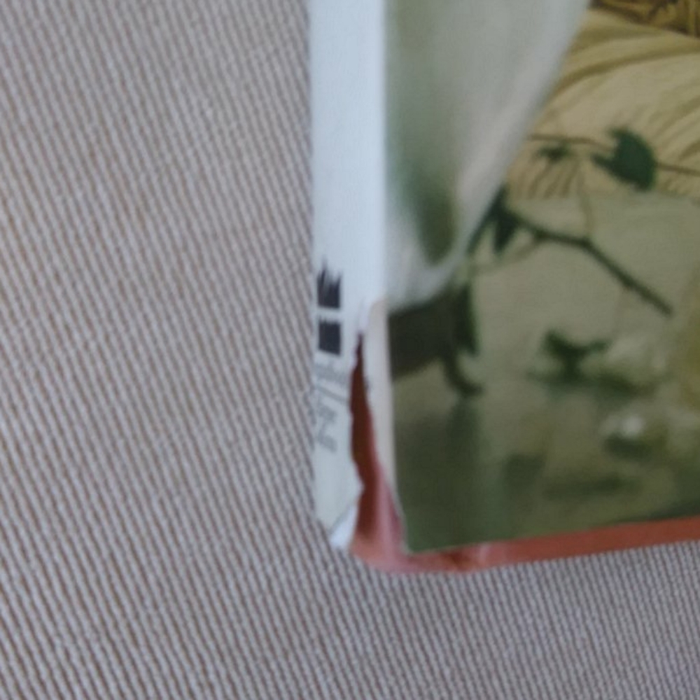 Shabby Chic by Rachel Ashwell hardcover book - Picture 8 of 8